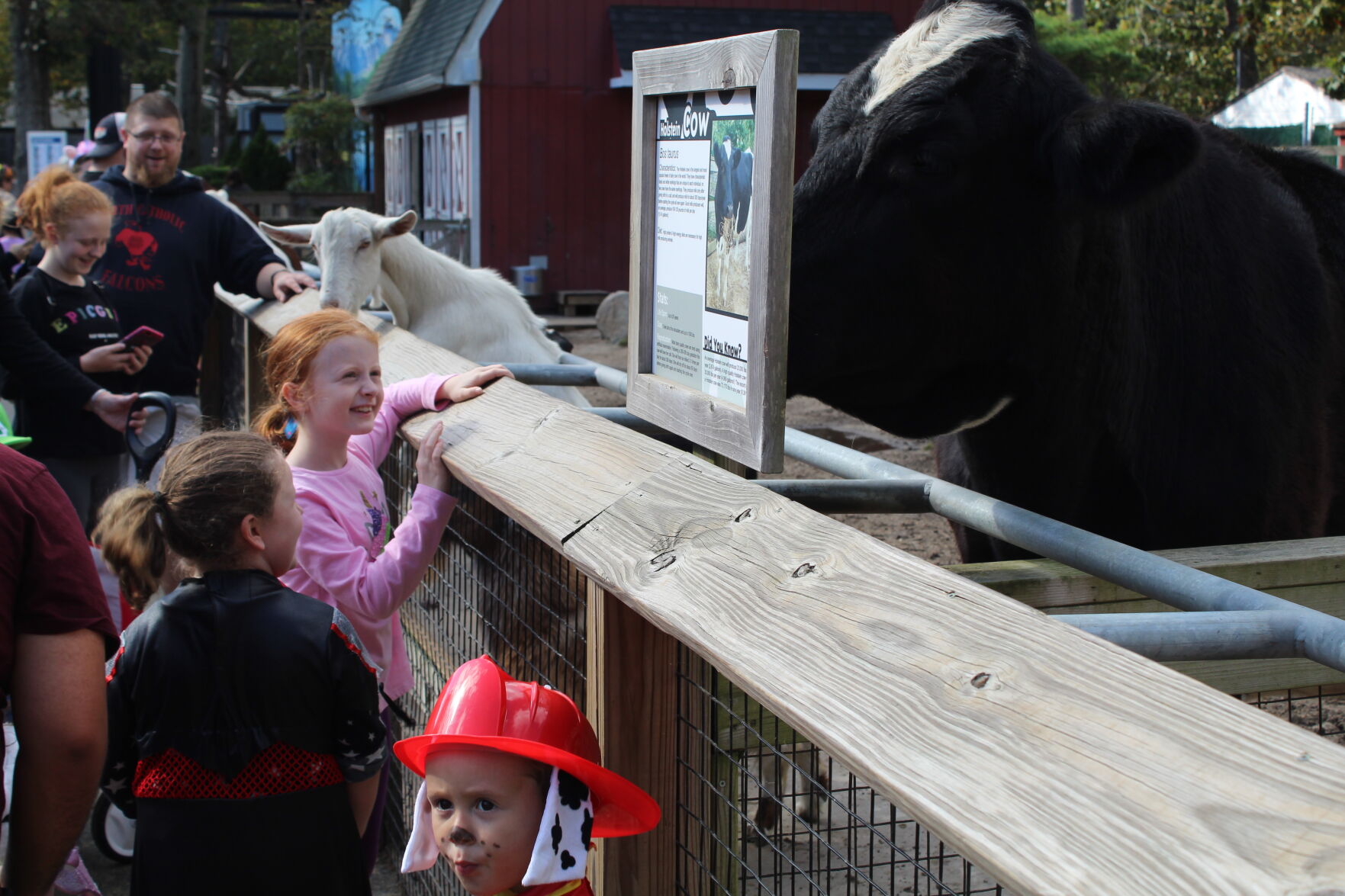 Boo at the Zoo_6642.JPG